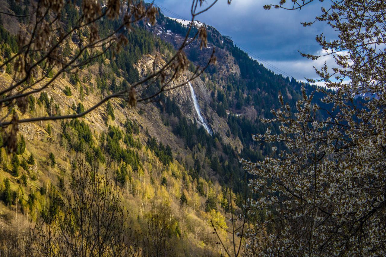 Chalet Rostaing Vaujany Eksteriør bilde